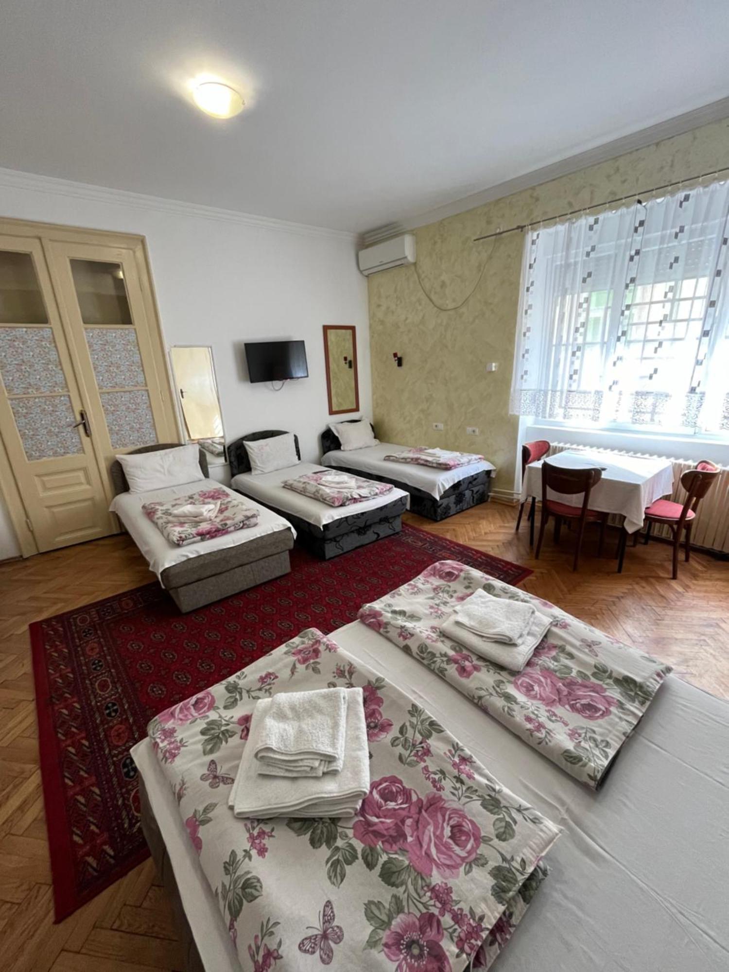Sobe Sa Sopstvenim Kupatilom Private Rooms Bathroom In Center Novi Sad Eksteriør billede