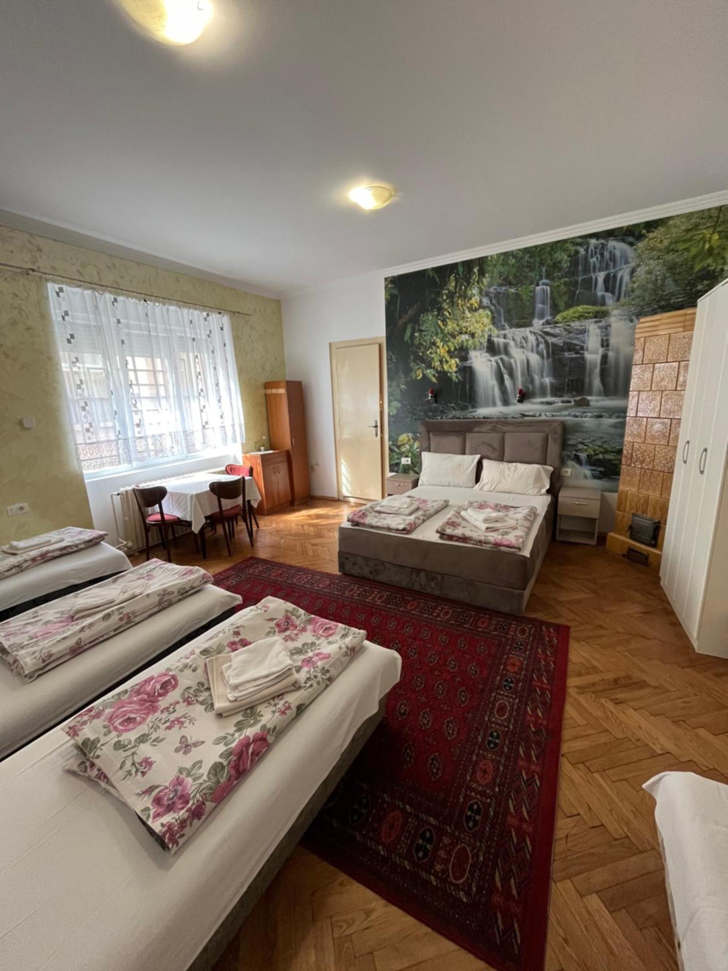 Sobe Sa Sopstvenim Kupatilom Private Rooms Bathroom In Center Novi Sad Eksteriør billede